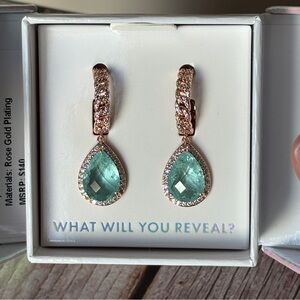 Bomb Party Mental Health Awareness Earrings